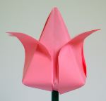 Делаем тюльпан из бумаги по технике оригами